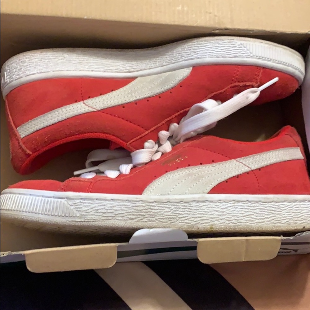 Pumas